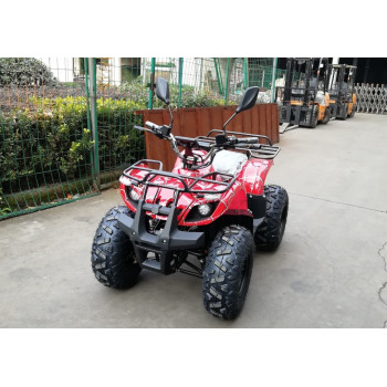 Квадроцикл GreenCamel Атакама T320 (48V 1000W R8 Дифференциал)