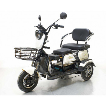 Трицикл GreenCamel Фродо X7 (60V 500W R8) дифференциал