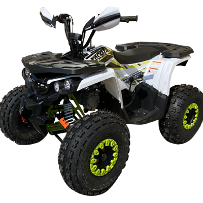 Квадроцикл YACOTA FUSION PRO 125 NEW