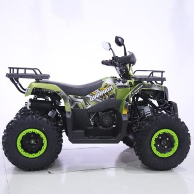 Квадроцикл YACOTA WARRIOR 200 PRO